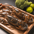 Live Lobster Medium