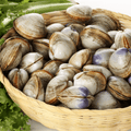 Clams - Medium
