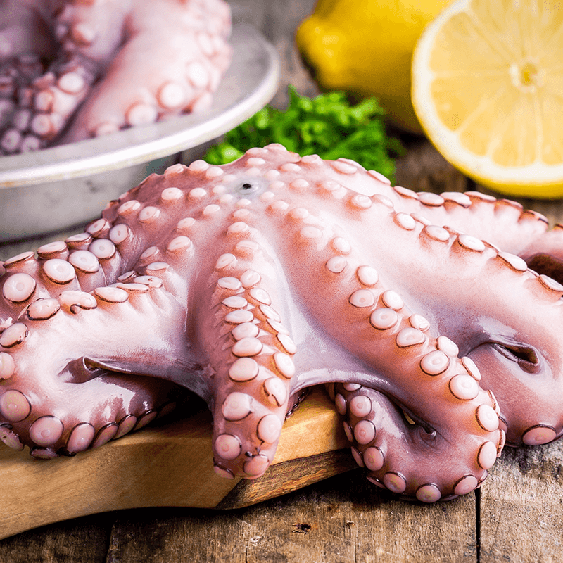 Octopus Big (4 - 5 KG) - Frozen
