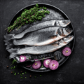 Sea Bass - Small