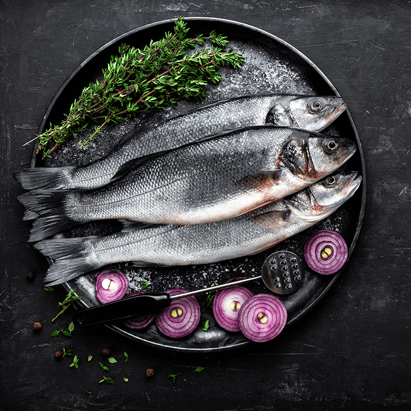 Sea Bass - Small