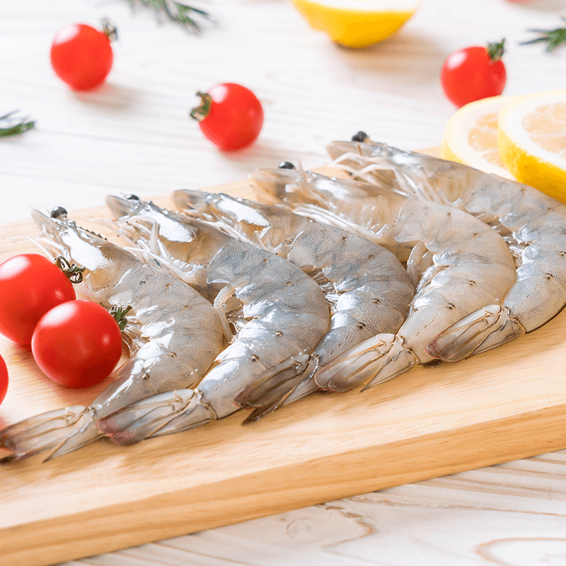 Shrimps - Medium
