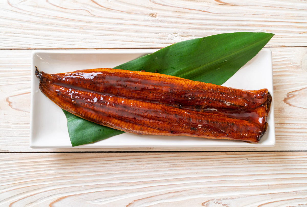 Unagi Kabayaki Broiled Eel Fillet - Frozen