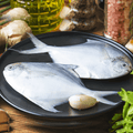 White Pomfret Small